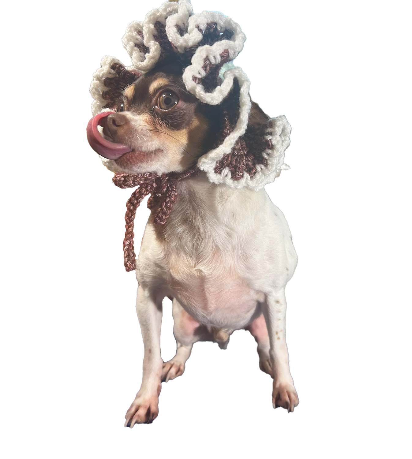 Paw Drazzel Boutique Pet's Handmade, Handmade Crochet Ruffle Hats