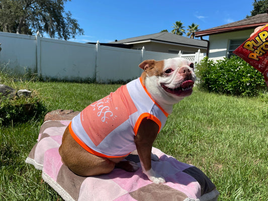 Large Dog / Cat shirts