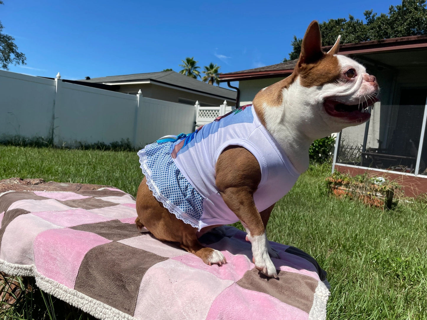 Large Dog / Cat dress